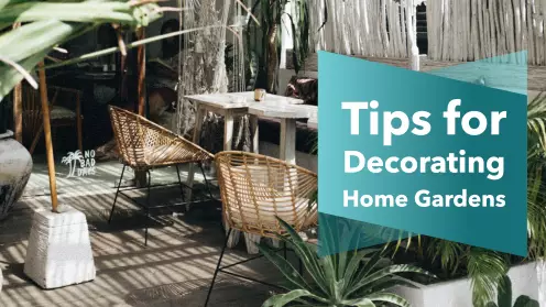 Best tips for decorating and maintaining home gardens